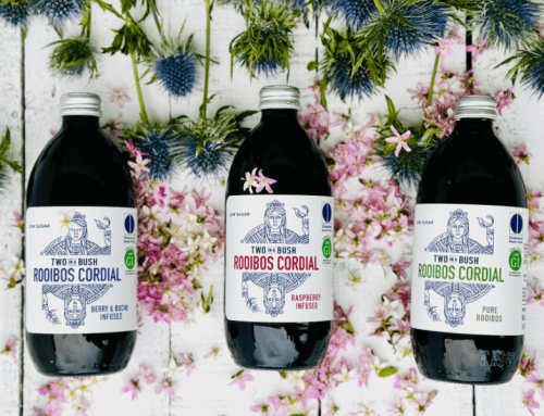 Two in a Bush Eisteekonzentrat – natürlicher Rooibostee Genuss